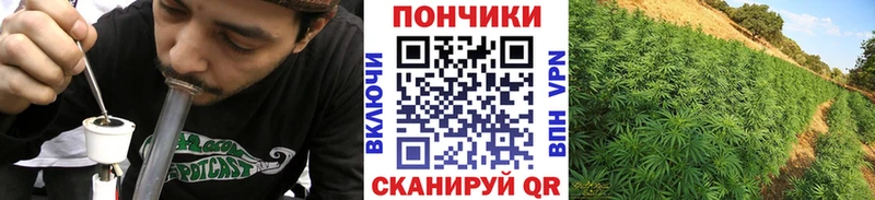 Купить наркотики сайты Великий Новгород МАРИХУАНА A PVP Гашиш Меф мяу мяу COCAIN