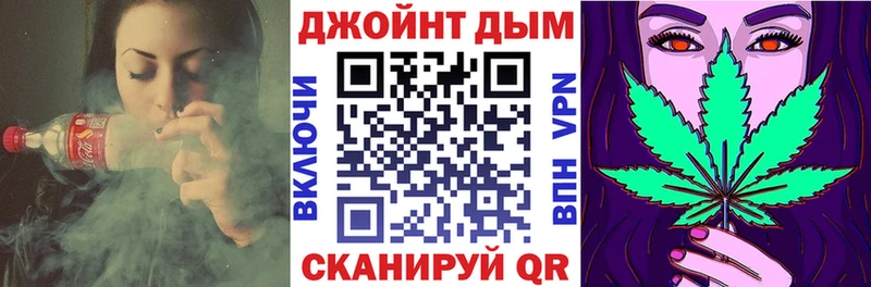 Конопля сатива  Великий Новгород 